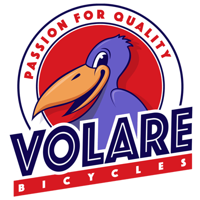 Volare Cool Rider Children's Bicycle - Boys - 18 inch - Black
